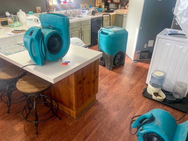 Best Water damage restoration near me  in Fletcher, OK