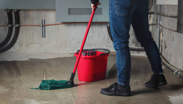 Best 24/7 water damage repair  in Fletcher, OK