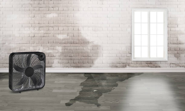 Best 24-hour water damage restoration  in Fletcher, OK