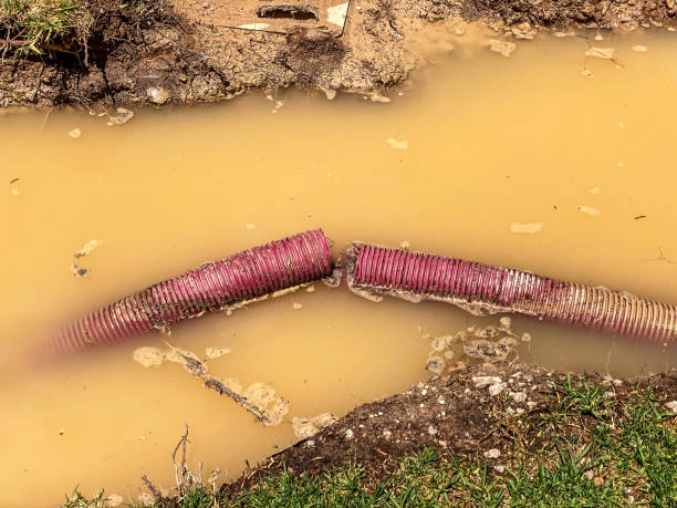 Best Basement water damage restoration  in Fletcher, OK