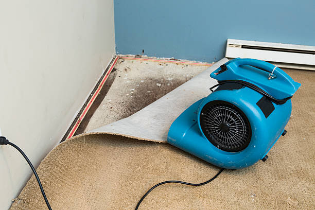 Best Water damage restoration near me  in Fletcher, OK